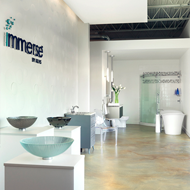 Immerse Team