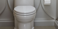 DXV_St-George-One-Piece-Elongated-Toilet
