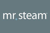Mr. Steam Logo