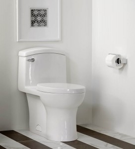 DXV roycroft toilet