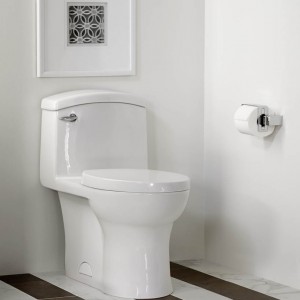 DXV roycroft toilet