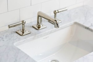 Waterworks Bathroom Faucet