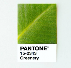 Greenery Pantone Color of 2017