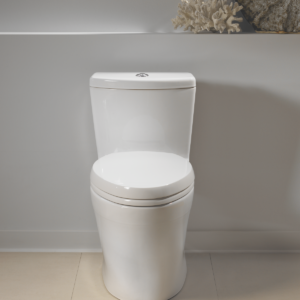 aquia toilet on display at the immerse showroom in st. louis