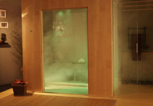 immerse steamist steam shower in action