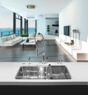immerse franke kitchen sink and faucet in modern living space